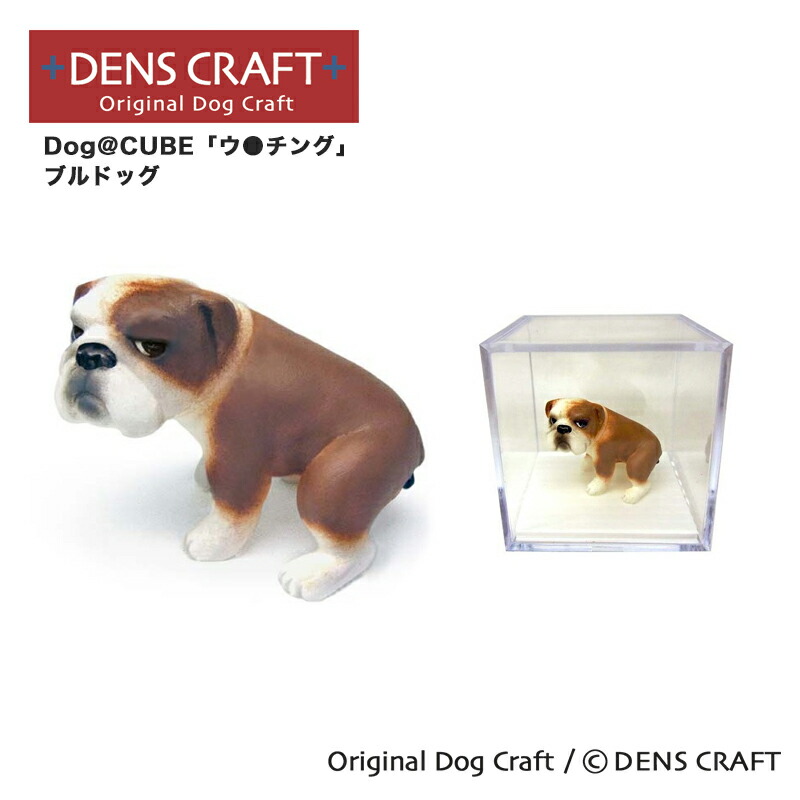 den-a0030_top.jpg