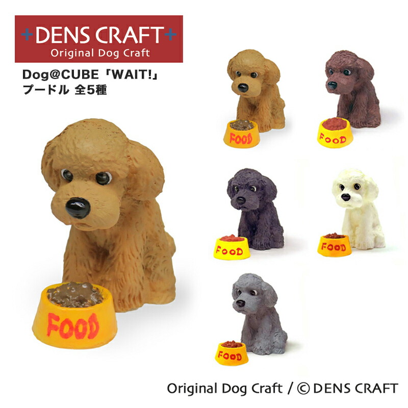THE DOG MASTER (ザ・ドッグマスター) 初回限定版 den_b0001_top.jpg?fitin=272:272