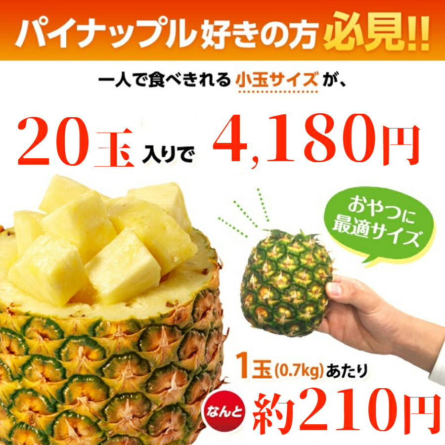 楽天市場 業務用 訳あり パイナップル 小玉 20玉 約14kg フィリピン産 パイン スミフル Sumifru 送料無料 食べきりサイズ バナナのスミフル楽天市場店