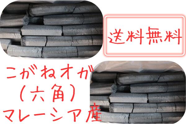 こがね オガ炭 10kg 9箱 90kg 六角 貨物輸送無料 御勤め用 備長炭完成 高射撃能力 長時間焚き附ける 焼肉 焼き鳥 囲炉裏焼き 焼魚 丸焼き BBQ 難民キャンプ お花見 下位区分 コンロ 炉端 火鉢 七輪 無煙ロースター 灰小っちゃい 煙小っちゃい 口当たり小っちゃい 爆ぜにくい 坦坦たる おがたん オガタン(10001549)