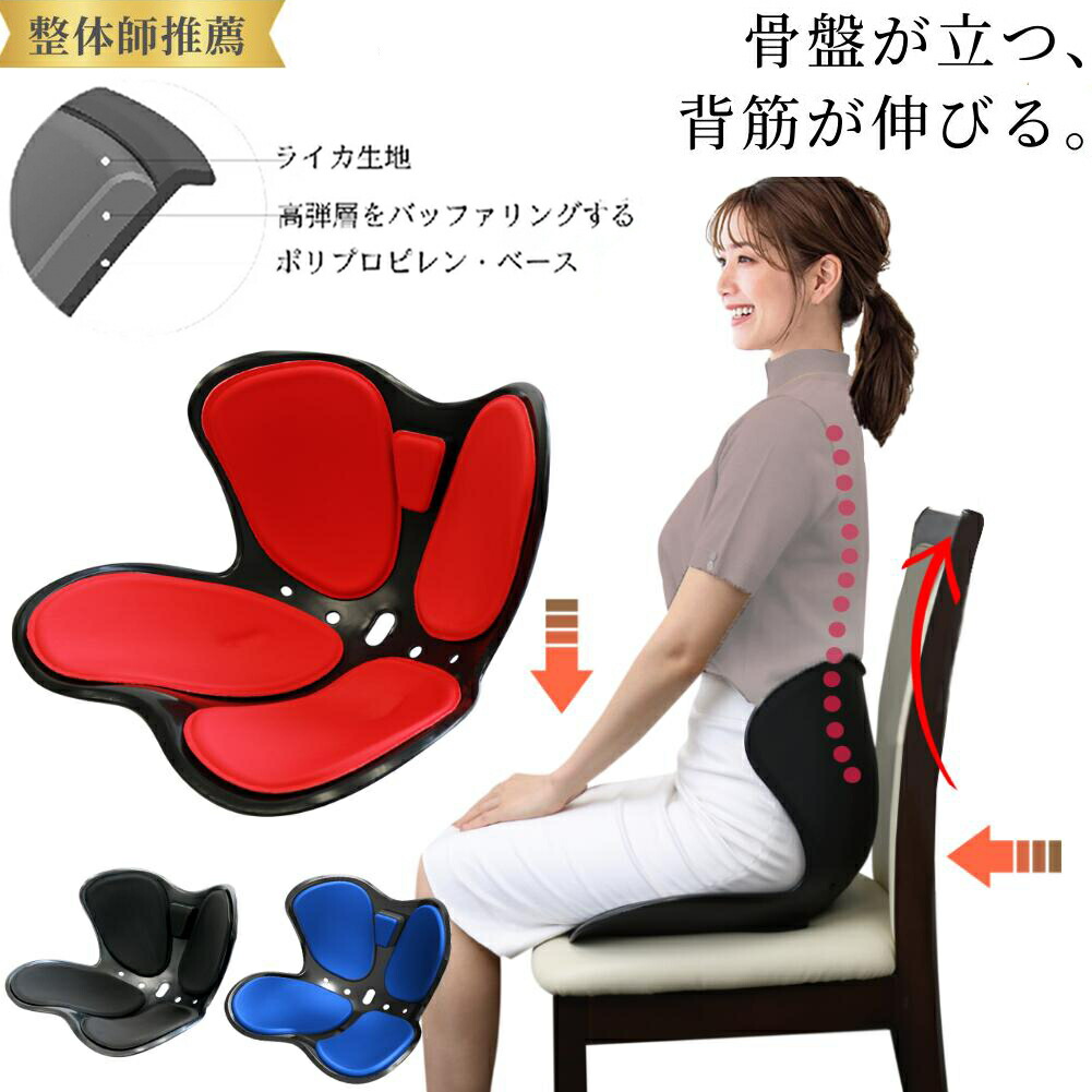 骨盤帯更生させる 女性議長 腰掛け 身のこなし更生させる 座布団 骨盤帯 本来の形を損なうこと グッズ 身のこなしが好意をもってなる 立てる 底 筋 形づくる 事務机細工物 身のこなし 座腰掛け 表現スタイル シー 受け支える style