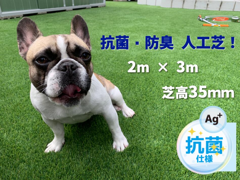 ・2m×3m ドッグラン用 遮熱 抗菌 防臭 防カビ 防炎 人工芝 芝高35mm ロール わんちゃん用 ペット用 お子様にもおすすめ