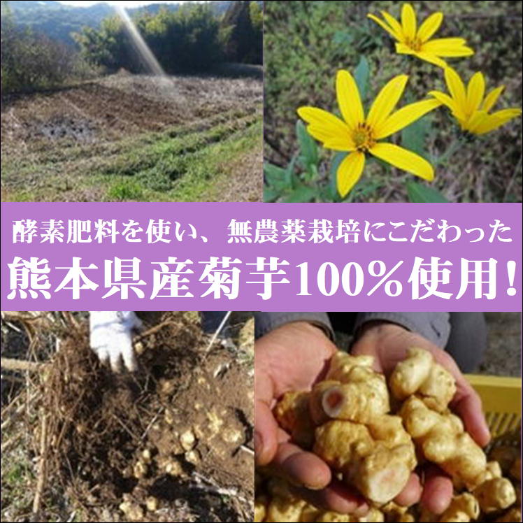 【楽天市場】菊芋 イヌリン サプリ 熊本県産 食物繊維 菊芋の粒 180粒 ダイエット 食事バランス サポート 野菜不足 健康 きくいも 菊芋