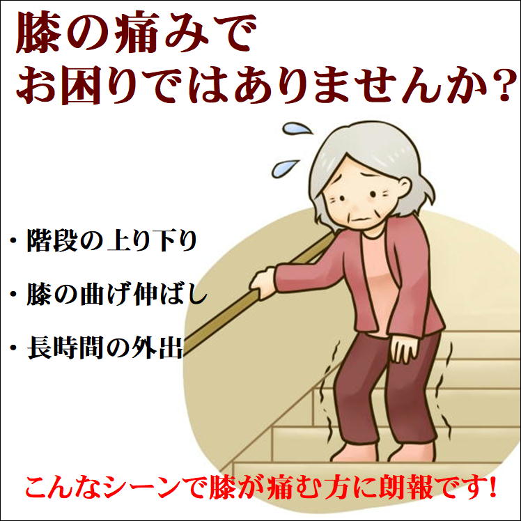 市場 膝サポーター 薄手 ヒザ サポーター ひざ 高齢者 ２枚組 関節痛 変形性膝関節症 ゲルマ二ウム 膝 ショート ナチュラル 痛み サポート 改善