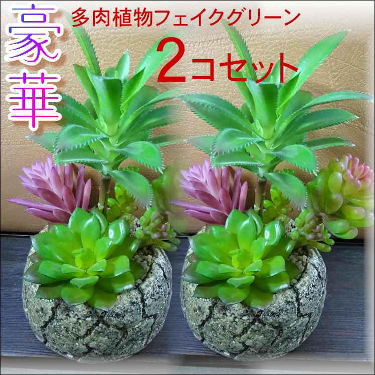 楽天市場 人工観葉植物 フェイクグリーン 寄せ植え2個組 観葉植物 造花 インテリア おしゃれ 開店 開業祝い 寄せ植え 観葉植物 多肉植物 フェイク 寄せ植え鉢 インテリア ミニ観葉 玄関 デスク かわいい 北欧 雑貨 インテリアグッズ サンロード楽天市場店