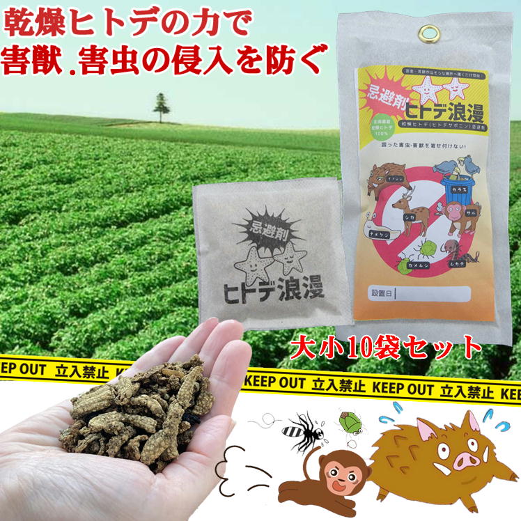 撃退パンチ 10kg 害虫駆除剤 害獣・害鳥用乾燥ヒトデの忌避剤 撃退パンチ10kg : イオスYahoo