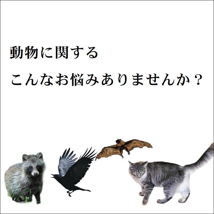 カラス 対策 コウモリ 撃退 ネコ 除け ネズミ 駆除 ハト よけ スズメ 忌避 便利 グッズ 超音波 ベランダ 鳥 フン 対策 ソーラー式 鳥獣 リペラー Usb充電 対応 害獣撃退センサー 動物 フン尿 作物 被害 センサー式 畑 田んぼ