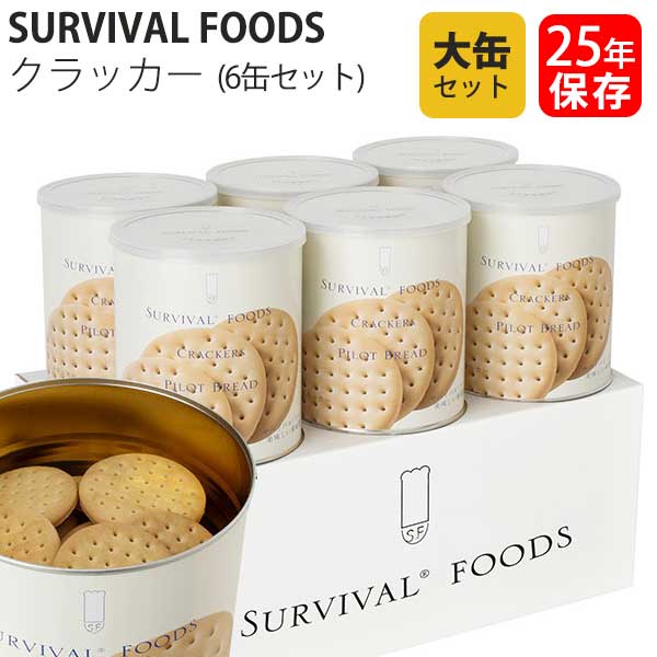 マウンテンハウス 専用のコンテナ付き フリーズドライ 保存食 登山