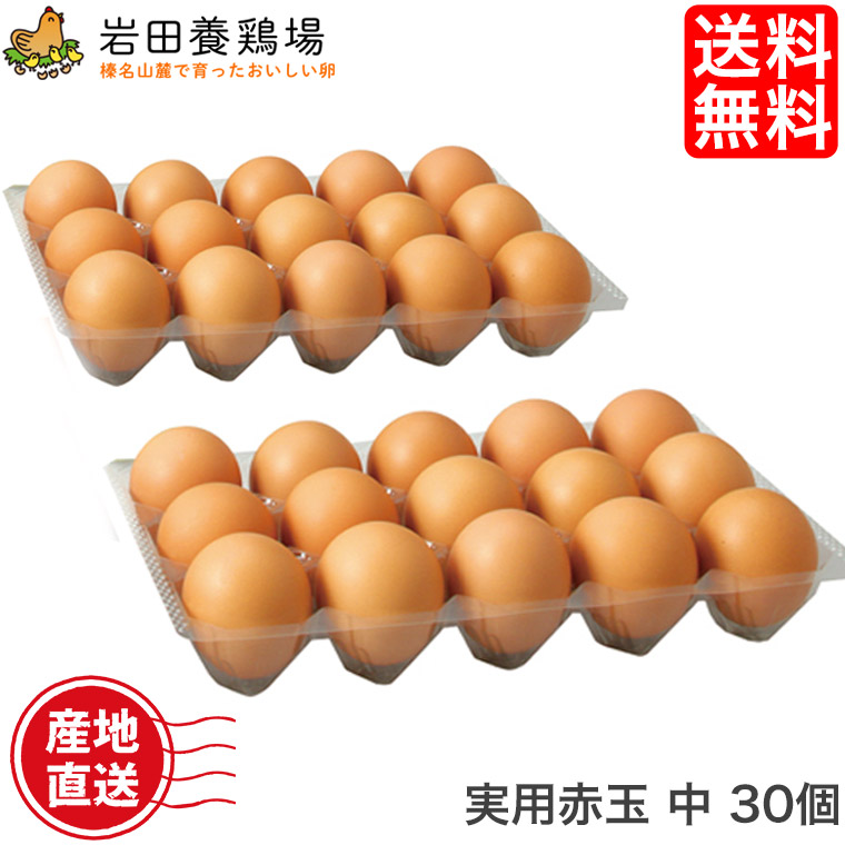 市場 卵 鶏卵 高級卵 産直 岩田のおいしい卵 新鮮 30個入り 実用赤玉中 岩田養鶏場 榛東村 健康 生卵 榛名 国産