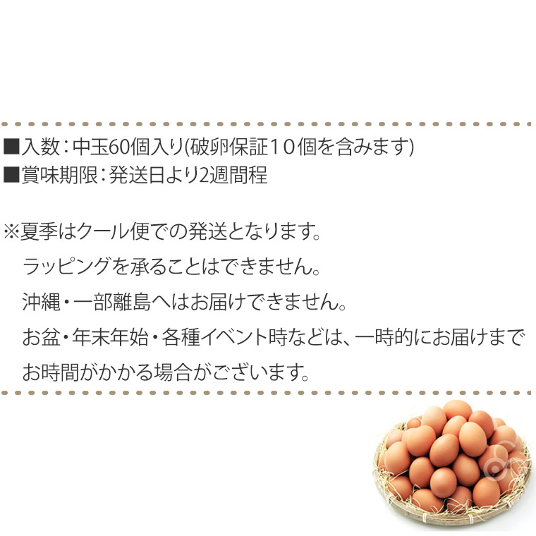 市場 卵 産直 60個入り 新鮮 実用赤玉中 岩田養鶏場 岩田のおいしい卵 榛東村 生卵 榛名 高級卵 破卵保証10個含む 鶏卵 健康