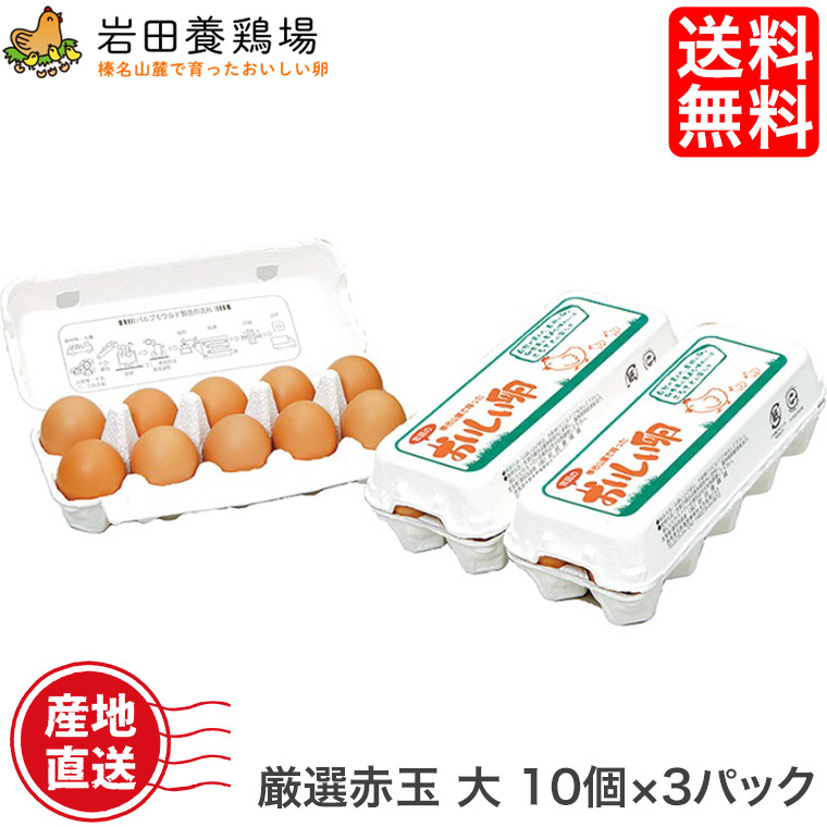 市場 卵 高級卵 岩田のおいしい卵 10個×3パック 岩田養鶏場 30個入り 鶏卵 厳選赤玉大 生卵 産直 健康 榛名 榛東村 新鮮