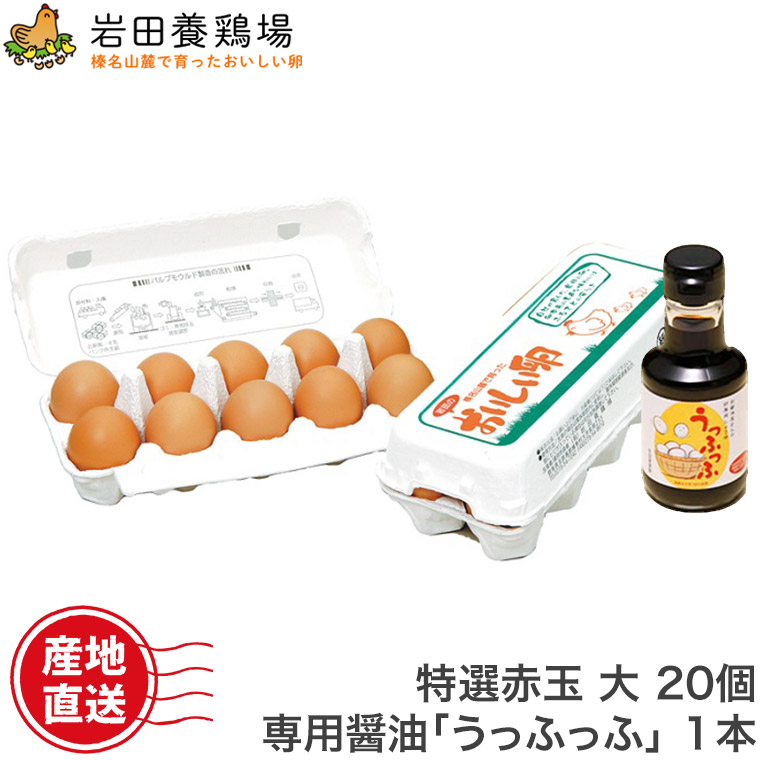 楽天市場】卵 産直 実用赤玉中 60個入り 破卵保証10個含む 岩田養鶏場 岩田のおいしい卵 産直 卵 鶏卵 生卵 高級卵 新鮮 健康 榛東村 榛名 国産 もみじ 臭くない 卵かけご飯 TKG 自宅用 贈答用 手土産 ギフト ふるさと納税 お取り寄せ : サンワショッピング 楽天市場】卵 産直 実用赤玉中 60個入り 破卵保証10個含む 岩田養鶏場 岩田のおいしい卵 産直 卵 鶏卵 生卵 高級卵 新鮮 健康 榛東村 榛名 国産 もみじ 臭くない 卵かけご飯 TKG 自宅用 贈答用 手土産 ギフト ふるさと納税 お取り寄せ : サンワショッピング