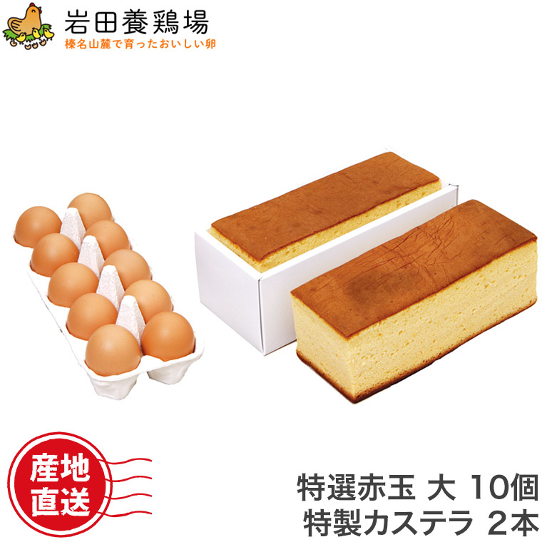 特製カステラ 2本入り 厳選赤玉大 10個入り 詰め合わせ 草原の琥珀 岩田養鶏場 岩田のおいしい卵 産直 卵 鶏卵 生卵 高級卵 新鮮 健康 榛東村 榛名 国産 スイーツ デザート 自宅用 贈答用 お土産 手土産 ギフト ふるさと納税 お取り寄せ 入手困難