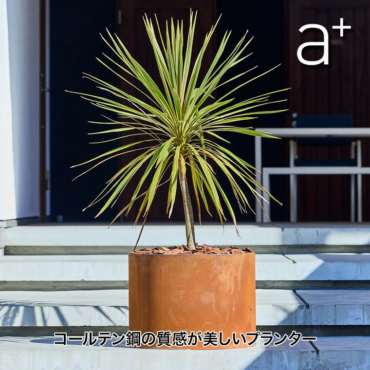 砂ぼこりボックス席
