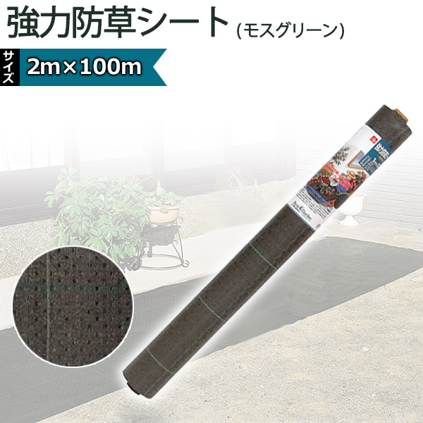 砂ぼこりボックス席