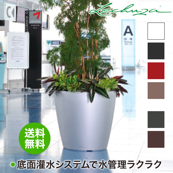 レチューザ プランター LECHUZA クラシコ60 CLASSICO60 LE-1060 送料無料 底面給水 底面灌水 鉢