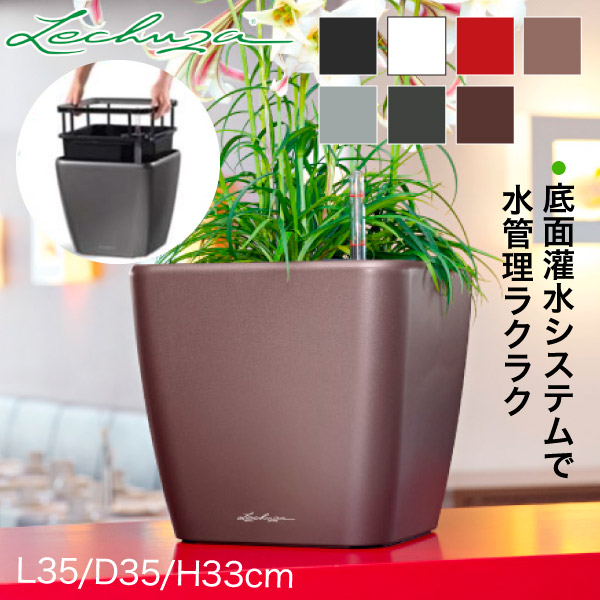 国内配送】 レチューザ LECHUZA クアドロ・ジョーカー35 Quadro Jokar 35 LE-2035AJ-B 売り切れ必至！  -wgroup.id