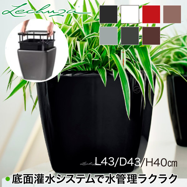 楽天市場】レチューザ プランター LECHUZA クラシコ・ジョーカー43