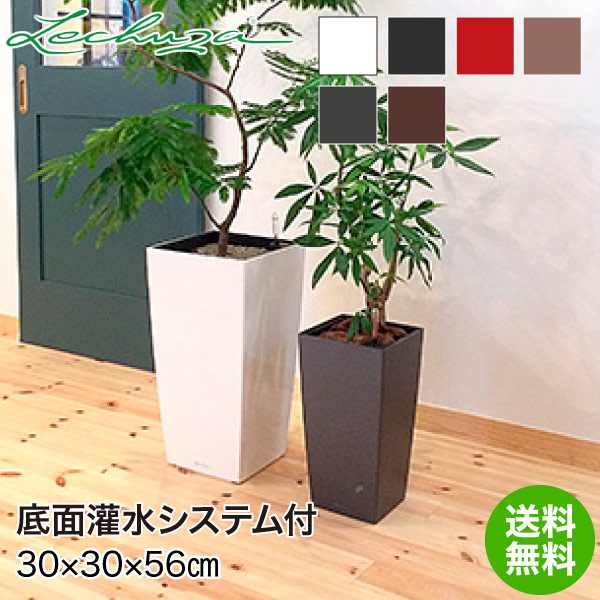 楽天市場】レチューザ プランター LECHUZA MAX CUBI マックス