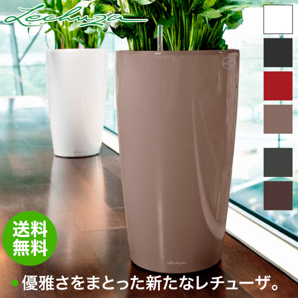 砂ぼこりボックス席