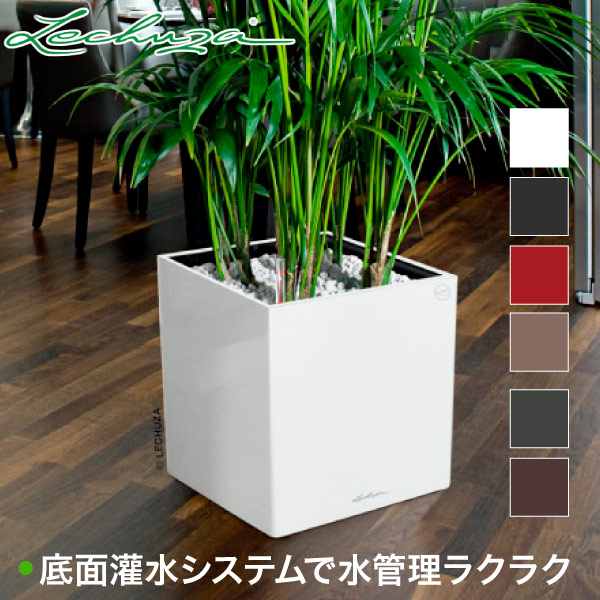 楽天市場】プランター レチューザ LECHUZA TREND トレンド コラム40 LE