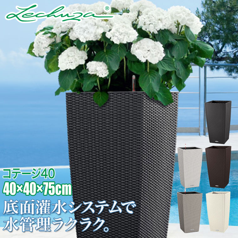 砂ぼこりボックス席