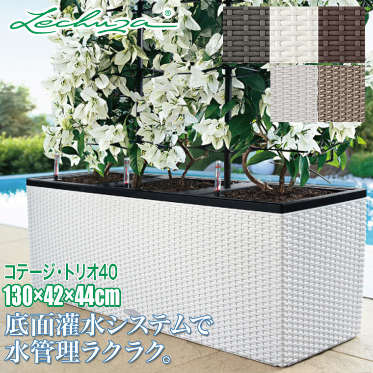砂ぼこりボックス席