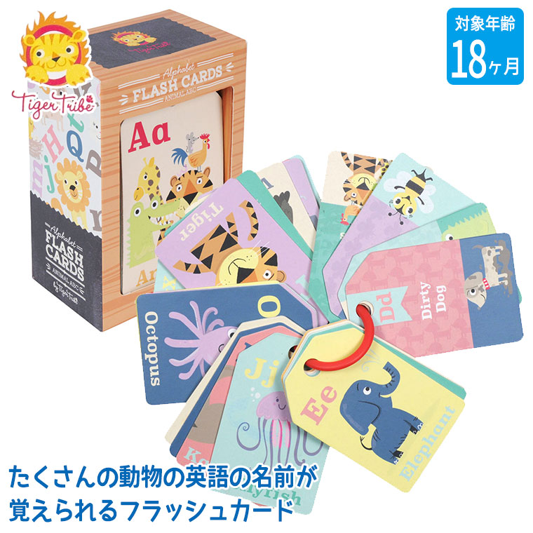 楽天市場】セサミストリート フラッシュカード ( FirstWords ビッグ