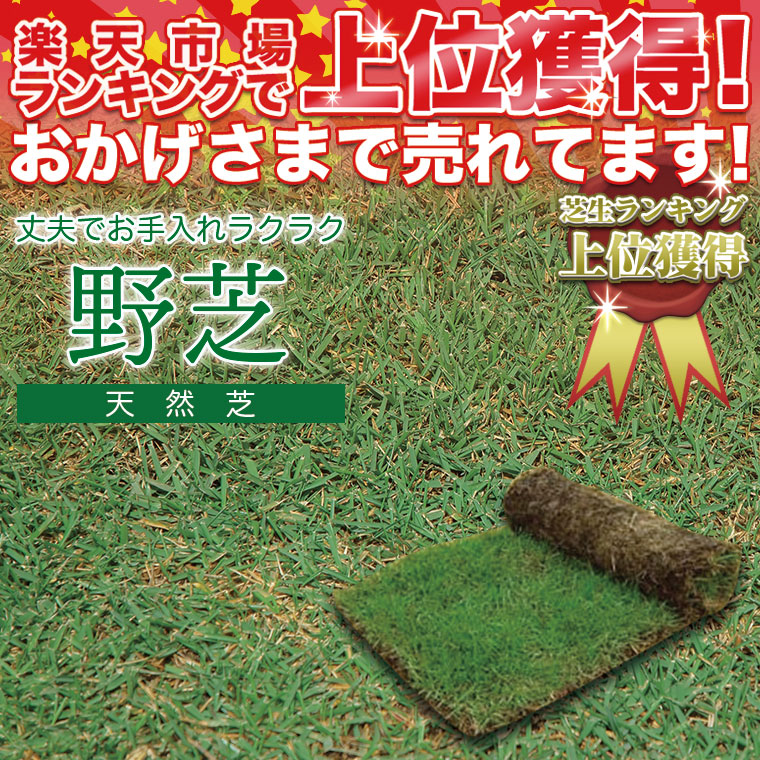 【楽天市場】芝生 天然芝 野芝(ノシバ) ロール巻 送料無料 (芝生 通販):サンワショッピング