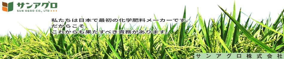 󥢥䤿ܤǺǽβ᡼Ǥ