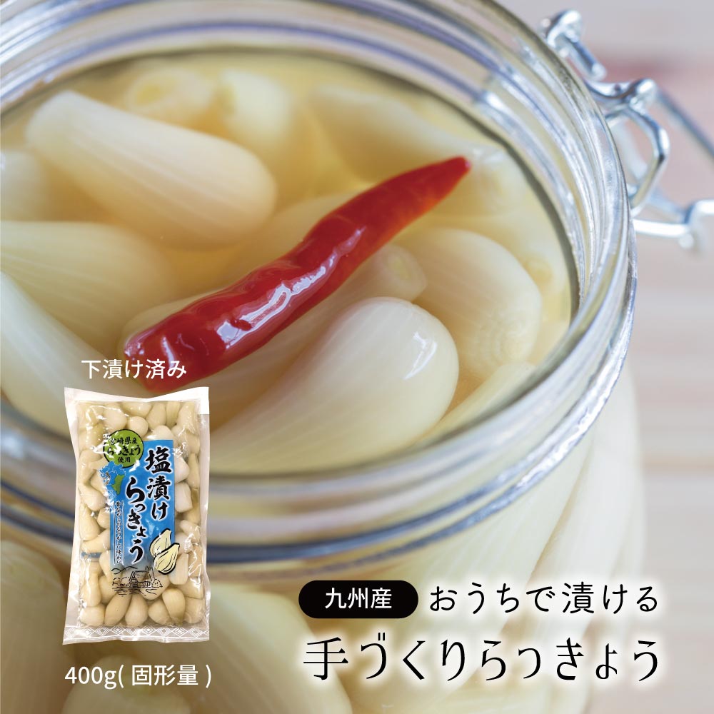 楽天市場 リニューアル 宮崎県産 おうちで漬ける 手づくりらっきょう 500g 下処理済み 洗いらっきょう ゆうパケット対応 代引き不可 代引きはゆうパケット対象外 出荷目安 ご注文後1 2週間 セール中は送料無料 すなお食堂