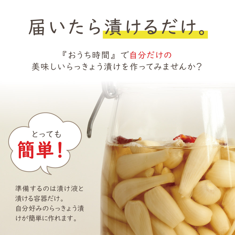 楽天市場 宮崎県産 おうちで漬ける 手づくりらっきょう 500g 下処理済み 洗いらっきょう ゆうパケット対応 代引き不可 代引きはゆうパケット対象外 出荷目安 ご注文後1 2週間 すなお食堂