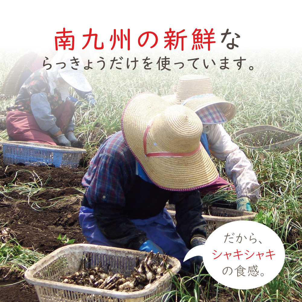 宮崎県産 おうちで漬ける 手づくりらっきょう 500g 4袋セット 下処理済み 洗いらっきょう ゆうパック 宅配便 手渡し 配送 出荷目安 ご注文後1 2週間 Educaps Com Br