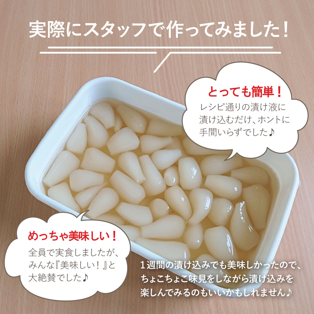 楽天市場 宮崎県産 おうちで漬ける 手づくりらっきょう 500g 下処理済み 洗いらっきょう ゆうパケット対応 代引き不可 代引きはゆうパケット対象外 出荷目安 ご注文後1 2週間 すなお食堂