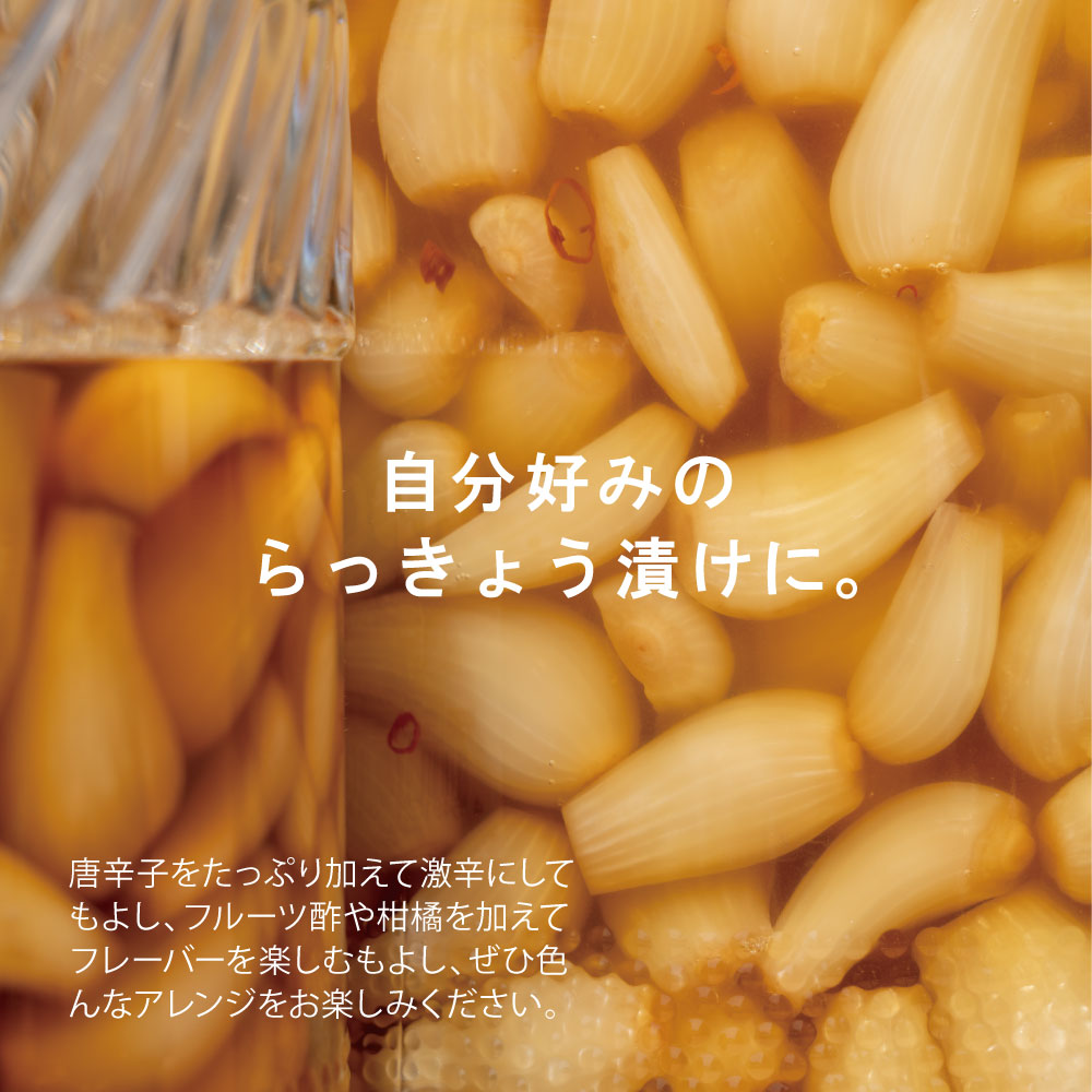 楽天市場 宮崎県産 おうちで漬ける 手づくりらっきょう 500g 下処理済み 洗いらっきょう ゆうパケット対応 代引き不可 代引きはゆうパケット対象外 出荷目安 ご注文後1 2週間 すなお食堂