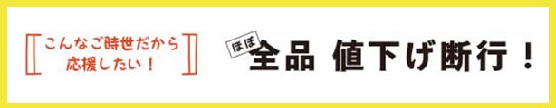 楽天市場】【オプション】200系 ハイエース DX 標準ボディ 5ドア トリムパネルクリップ ｜ トヨタ ロング 黒 カヌー クリップ ブラッシュ  ボタン : プロダックス