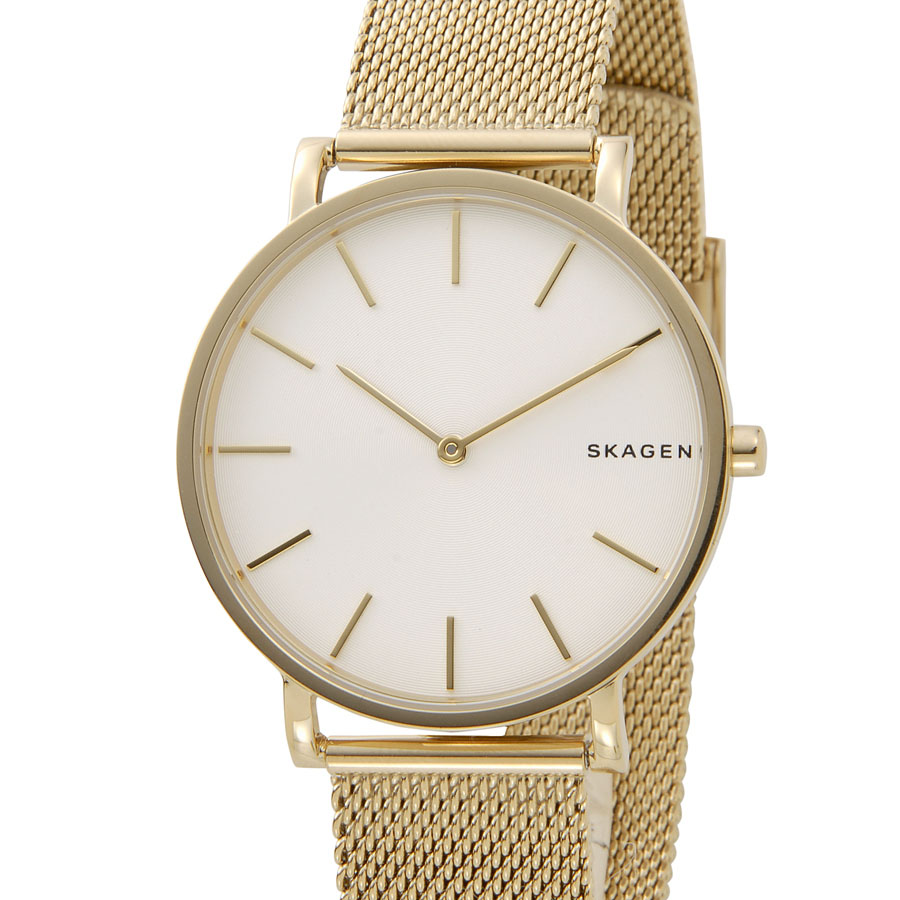 新品未使用　SKAGEN スカーゲン HAGEN SKW6472 143623-1.jpg