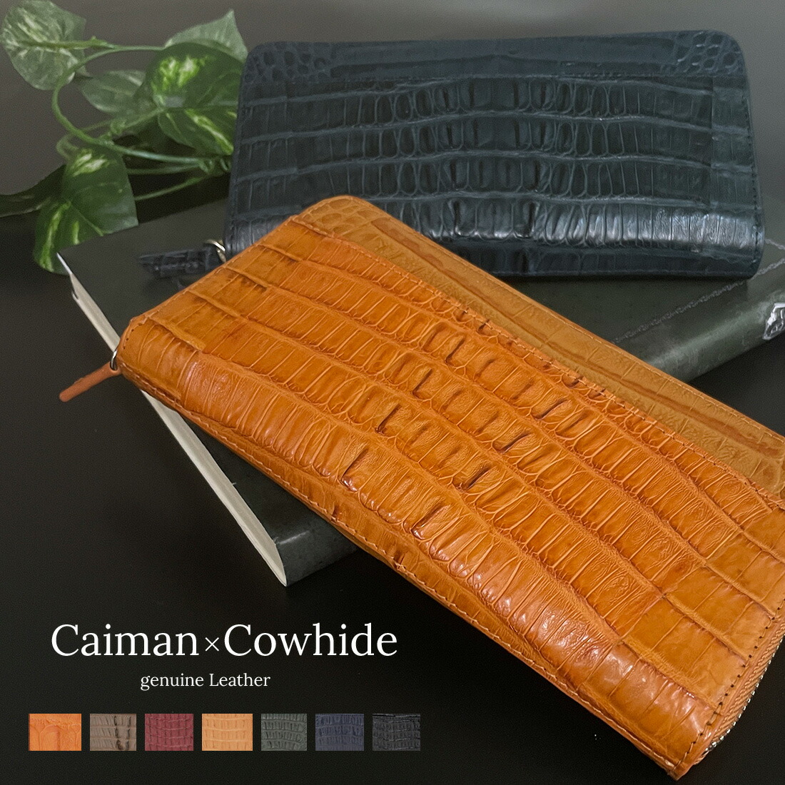 楽天市場】【楽天ファッション ザ・セール】 ホーンバック