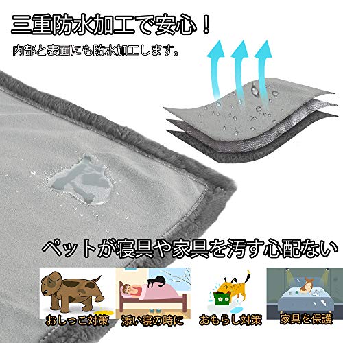 風情 光源グレイ 薄黒いグレー 号 0 X 150cm Pawsse 愛玩動物 雨着居敷き 廻者 ネコ 尿シート 中型犬 大型犬 防水引っ敷き わんちゃん ペット臥榻 オシッコ阻碍とり賄う 広遠 大判サイズ Ritzattorneys Com