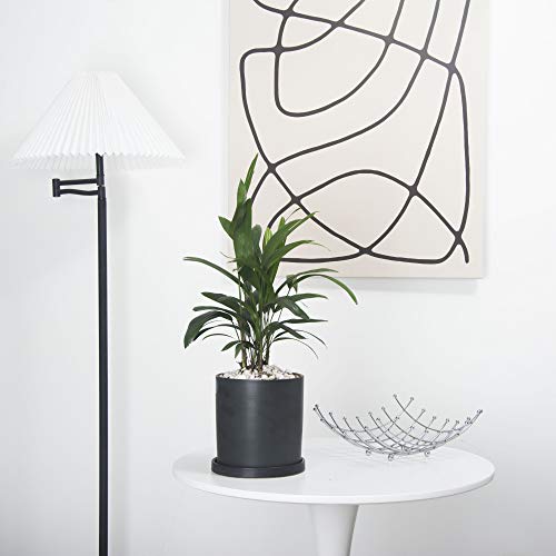 色 ブラック サイズ 15 7cm Ekirlin 植木鉢 陶器鉢 おしゃれ 受け皿付き 底穴あり 15 7cm 6号 色 観葉植物 鉢 プランター 鉢植え 北欧 室内 部屋 インテリア 黒 Giosenglish Com