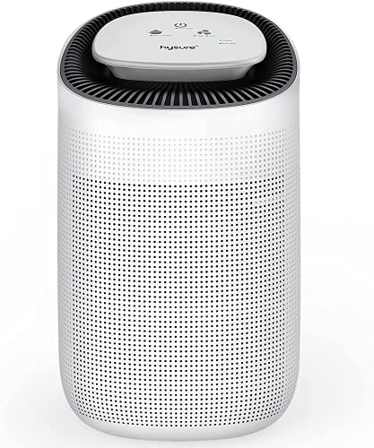 色 ホワイト サイズ 1000ml 1台2役 Pse認証 1000ml 空気清浄機 兼 除湿機 空気清浄機能付き除湿器 大容量 スタンダード 14畳 空気清浄 21畳 梅雨 花粉 Pm2 5 対策 脱臭 カビ差しとめる 部屋干し Angliaacademy Com