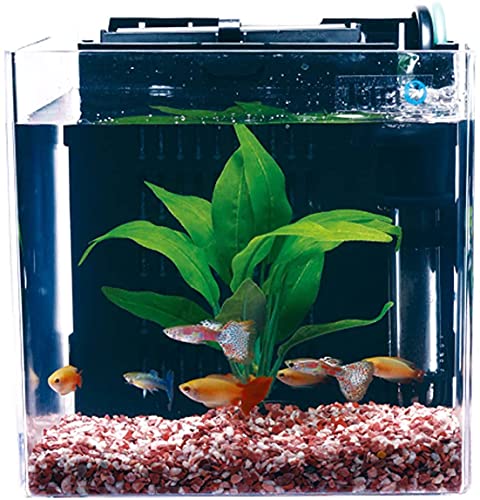 楽天市場】テトラ (Tetra) スマート熱帯魚飼育セットSP-17TF (水槽容量 