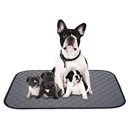 色：グレー サイズ：XL(2枚セット) ペットシーツ 洗える 猫 犬用 おしっこパッド ペット用 トイレ下敷きマット 速乾 洗える 大判サイズ 多頭飼いに最適(グレーＸＬ 二枚セット)