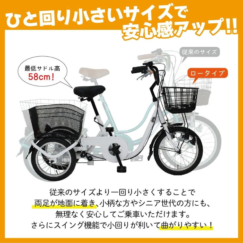 貧血症はカラダの酸欠物質の状態です