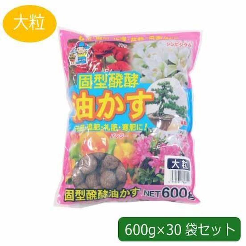 貧血症はカラダの酸欠物質の状態です