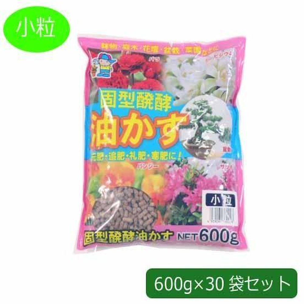 貧血症はカラダの酸欠物質の状態です