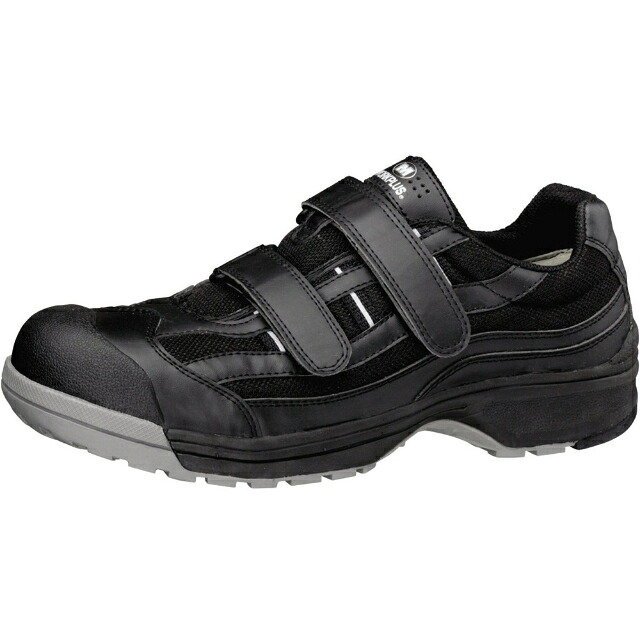 貧血症はカラダの酸欠物質の状態です