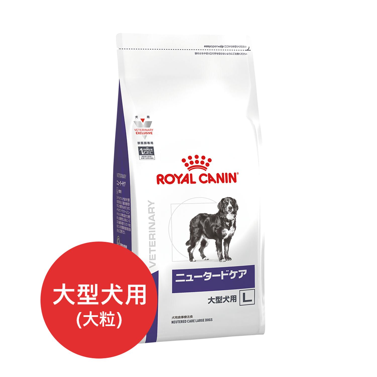 貧血症はカラダの酸欠物質の状態です