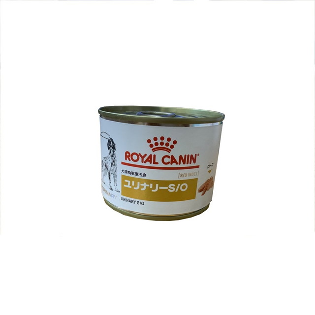 新着商品 ロイヤルカナン 退院サポート 犬猫用 缶詰め 療法食 tco.it