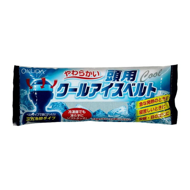 入荷予定 浅井商事 アイスまくらカバー×１０個セット